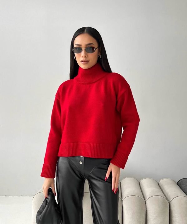 Raudonas megztinis Moko